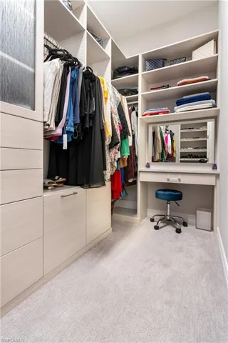 Spacious closet featuring light carpet