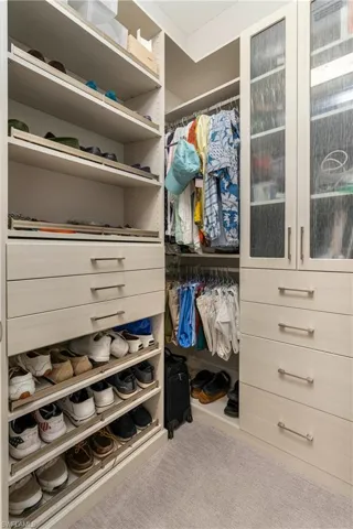 Walk in closet with carpet