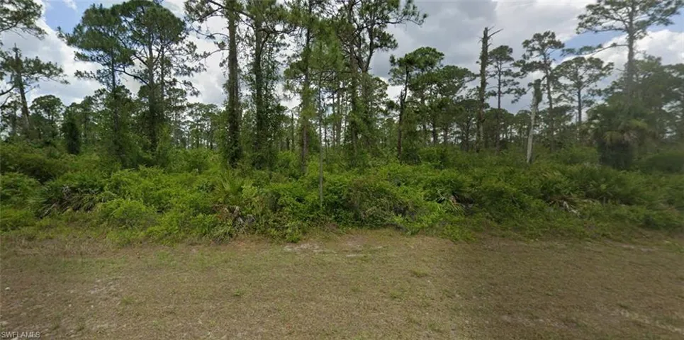 View of nature