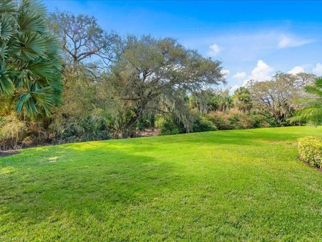 Expansive yard