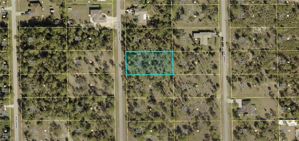 410 Wellington Ave, Lehigh Acres, Florida 33972