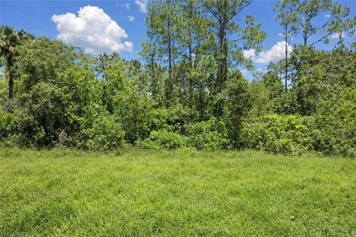 View of nature