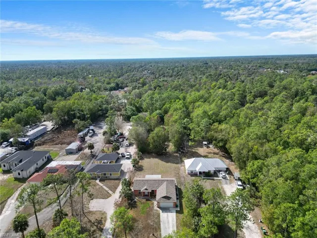 Aerial view of residential area with a forest