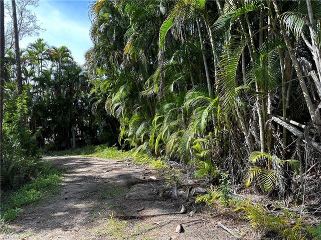 20708  Charing Cross  CIR, Estero, FL 33928
