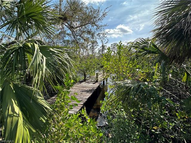 20708  Charing Cross  CIR, Estero, FL 33928