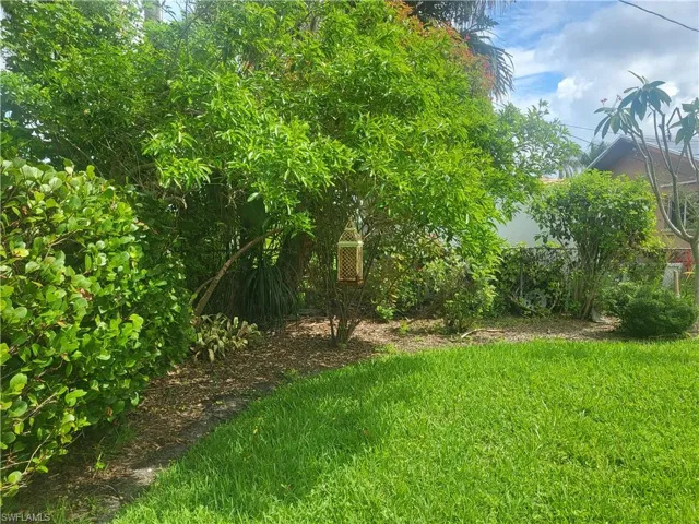 Backyard landscaping
