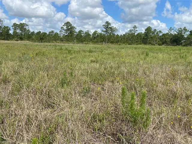 577 Kirby Thompson Rd, Fort Denaud, Florida 33935