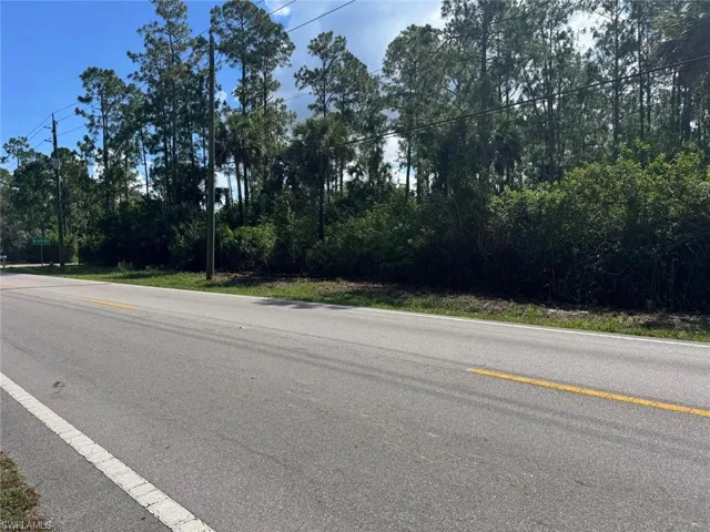 Roadside lot featuring mature trees and dense vegetation