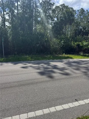 Roadside property featuring mature trees and lush vegetation