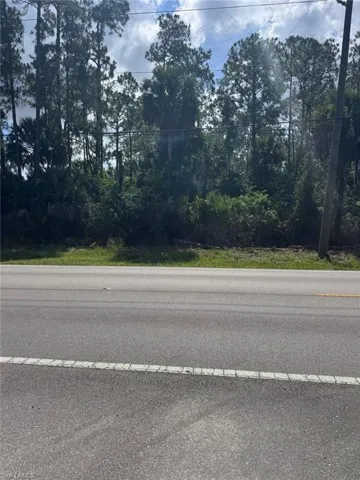 Roadside parcel featuring mature trees, diverse vegetation, and an adjacent paved road