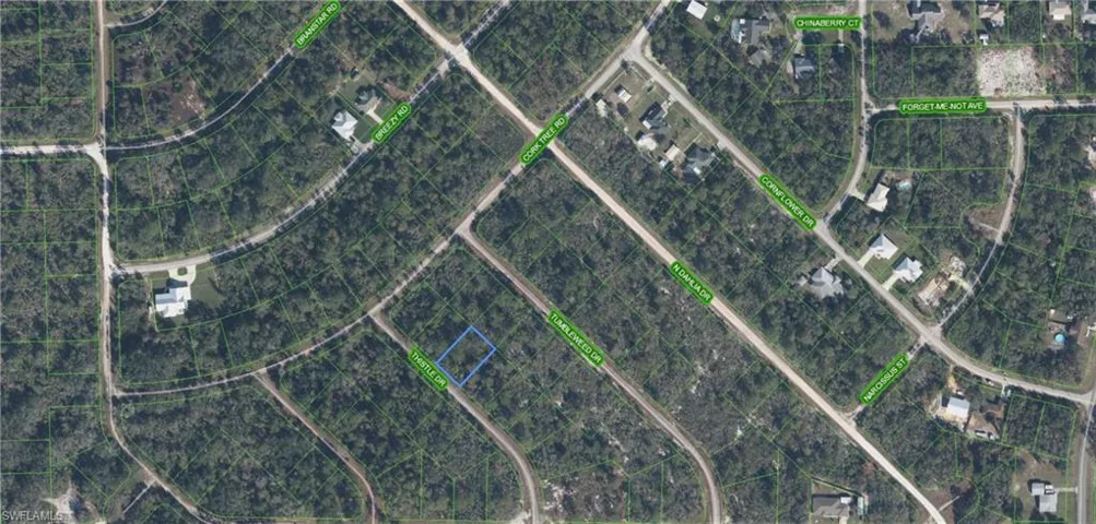 3229 Thistle DR, LAKE PLACID FL 33852