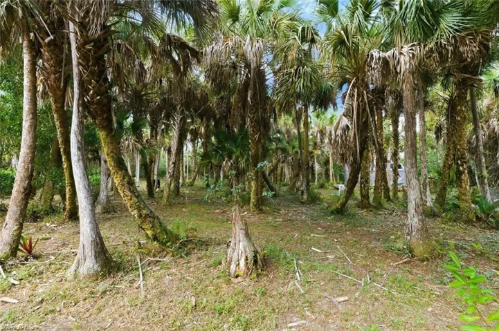 181  35th NE AVE, Naples, FL 34120
