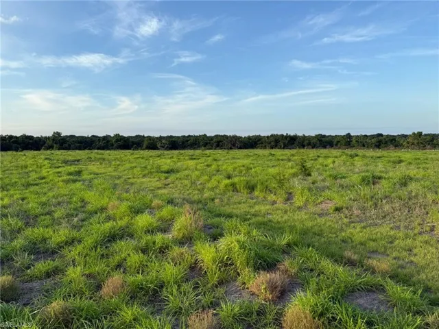 1445 S Florida Ave, Wauchula, Florida 33873