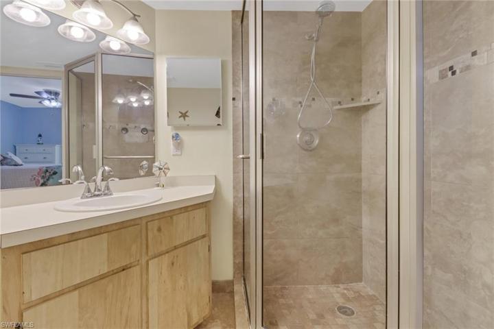 Primary Shower