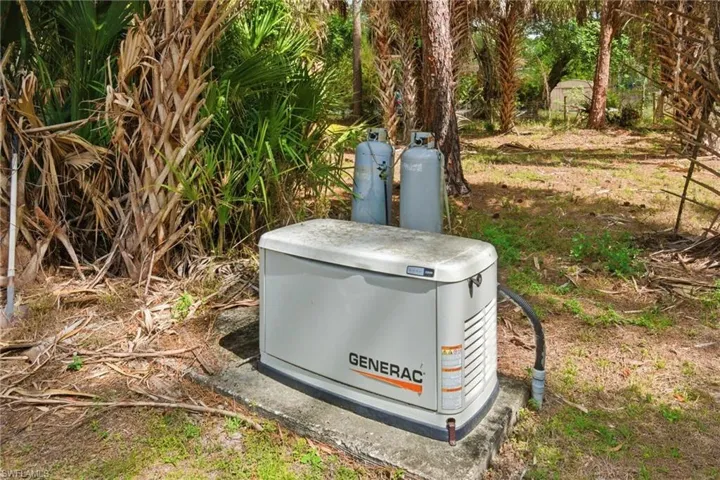 Generator for main house