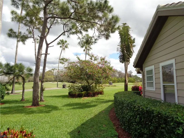 View of grassy yard