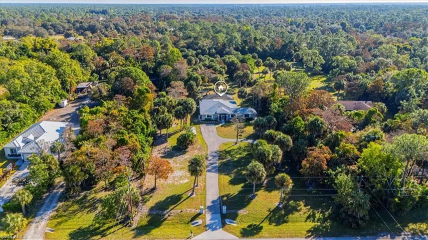 Drone / aerial view of a forest