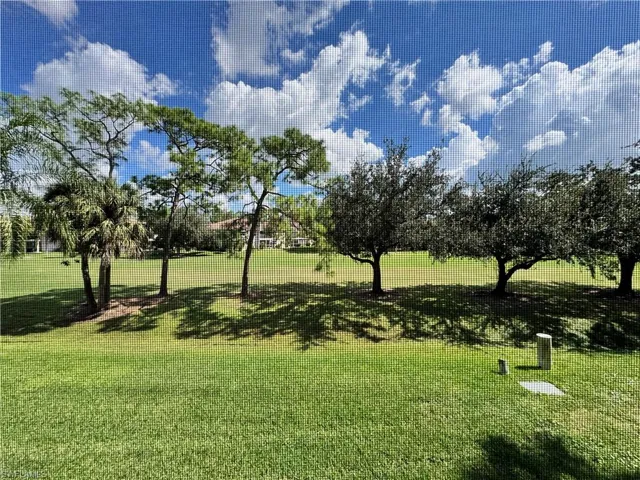 View of grassy yard