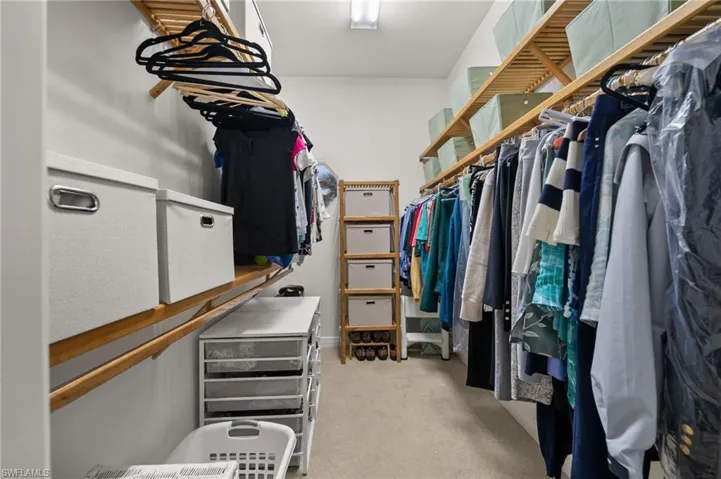 Spacious closet with light carpet