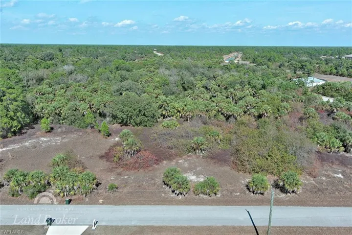 Aerial view of a forest