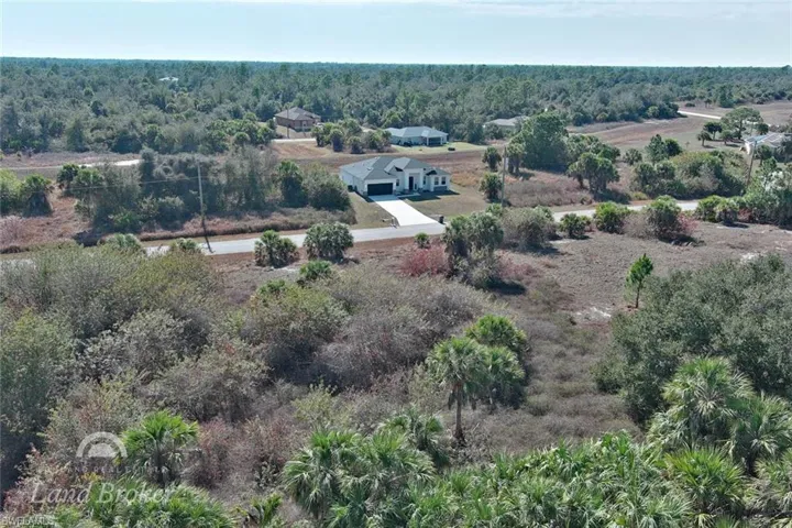 Drone / aerial view of a forest