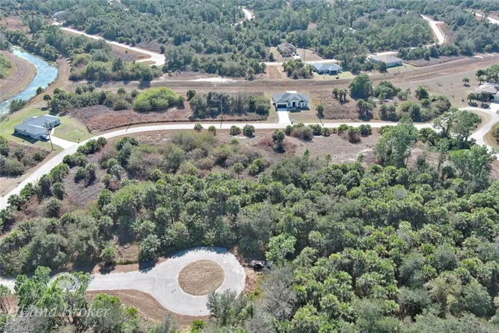 Bird's eye view of a forest