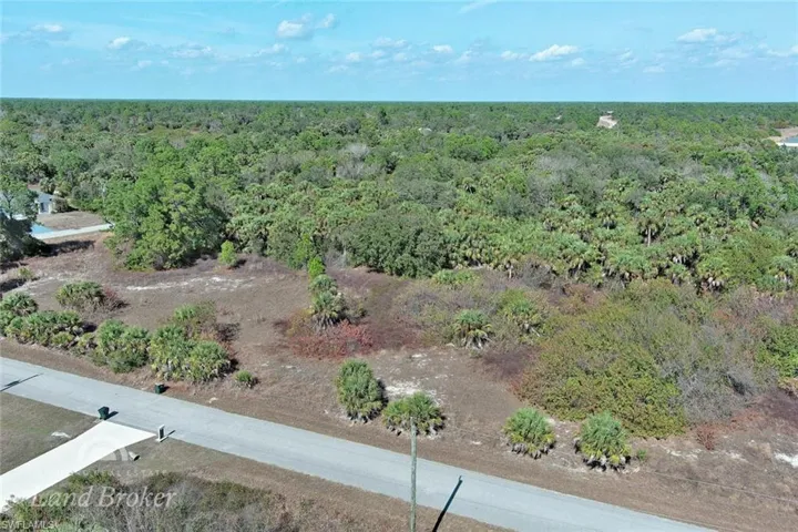 Drone / aerial view of a forest