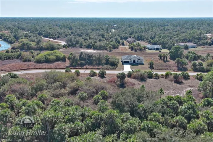 Aerial view of a forest