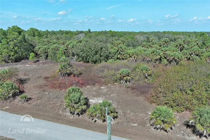 View of local wilderness