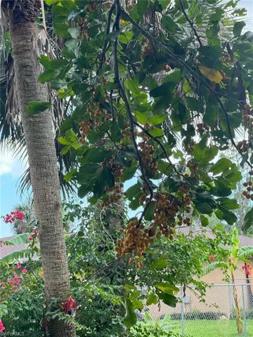 View of mother earth's splendor