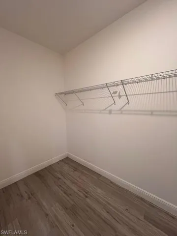 Walk in closet featuring dark wood-style floors