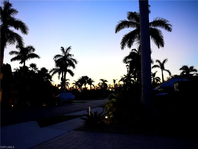 View of yard at dusk