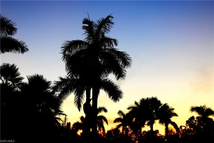 View of nature at dusk