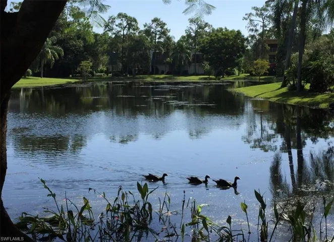 Water view