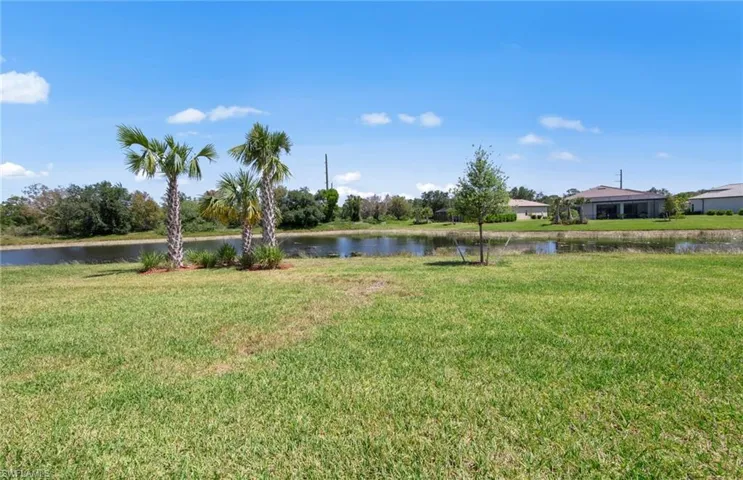 Spacious backyard! Room for pool