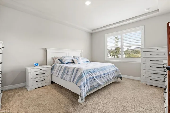 Bedroom with light colored carpet, a raised ceiling, and recessed lighting