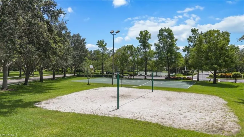 volleyball
