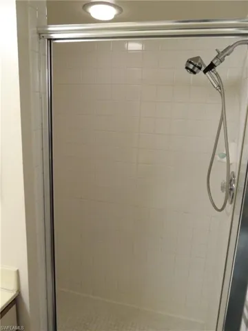 Shower bath