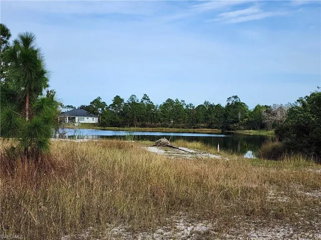 Water view with a heavily wooded area