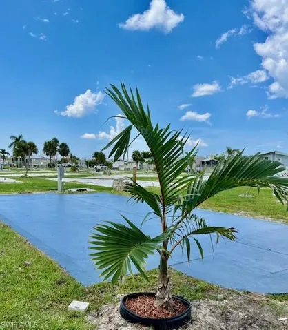 New planting