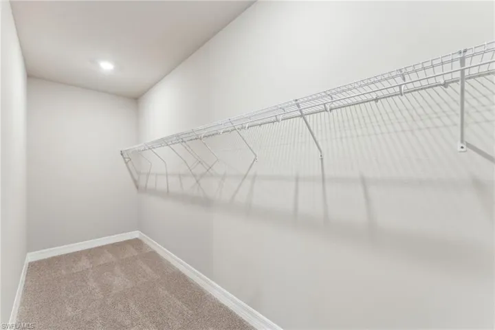 Walk in closet with carpet floors
