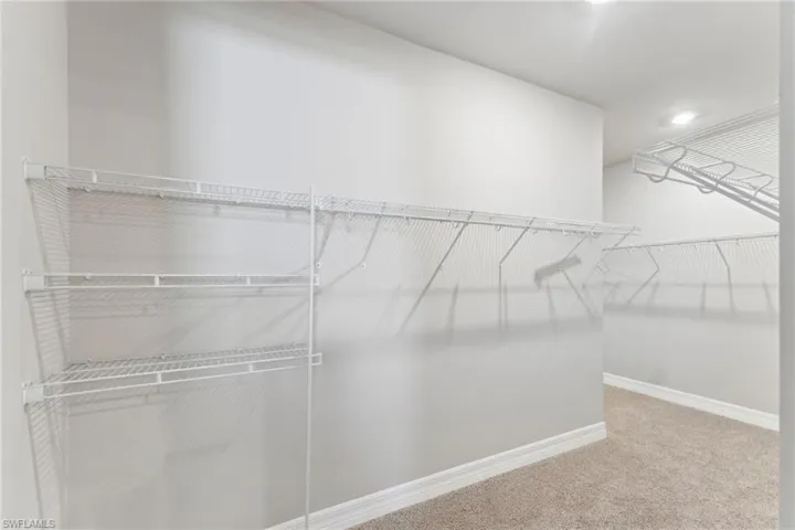 Spacious closet featuring carpet floors