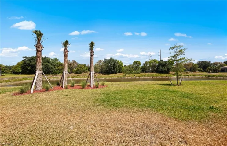 16621 Ash Grove Ln, Alva, Florida 33920