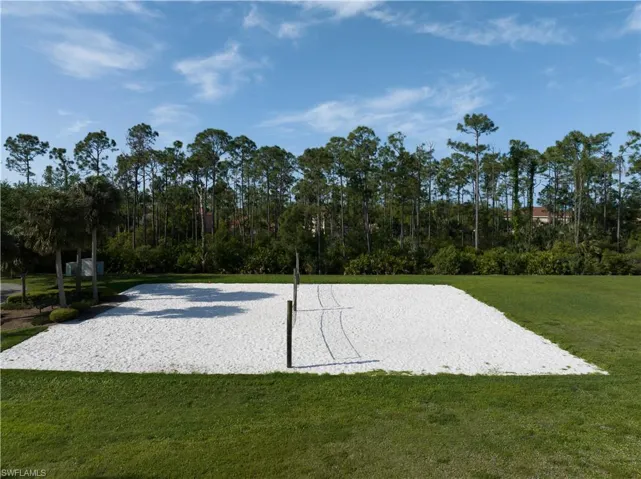 volleyball