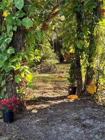 14630 Smokey Hollow Ln, North Fort Myers, Florida 33903