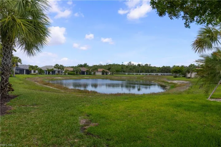 Partial pond view