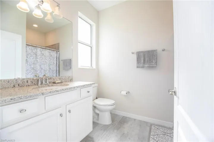 Bathroom featuring vanity, a shower with curtain, light wood finished floors, and suspended lighting
