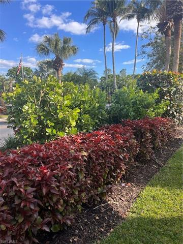 Beautiful Landscaping Hedge