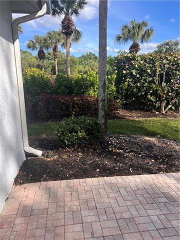 Privacy Hedge on Left side of home!