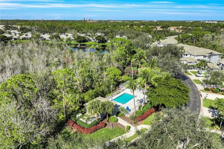 Amazing guest pool you will love to take your guests to!